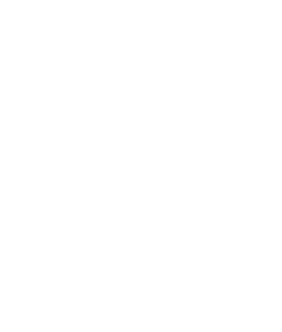 Taxispot taxivervoer Schipholtaxi Haarlem Hoofddorp
